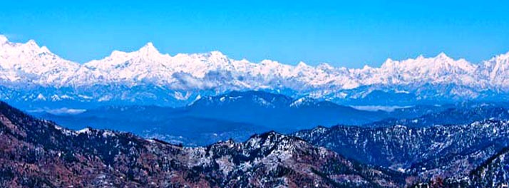 1024/Aamari Resort - Nainital 17.jpg